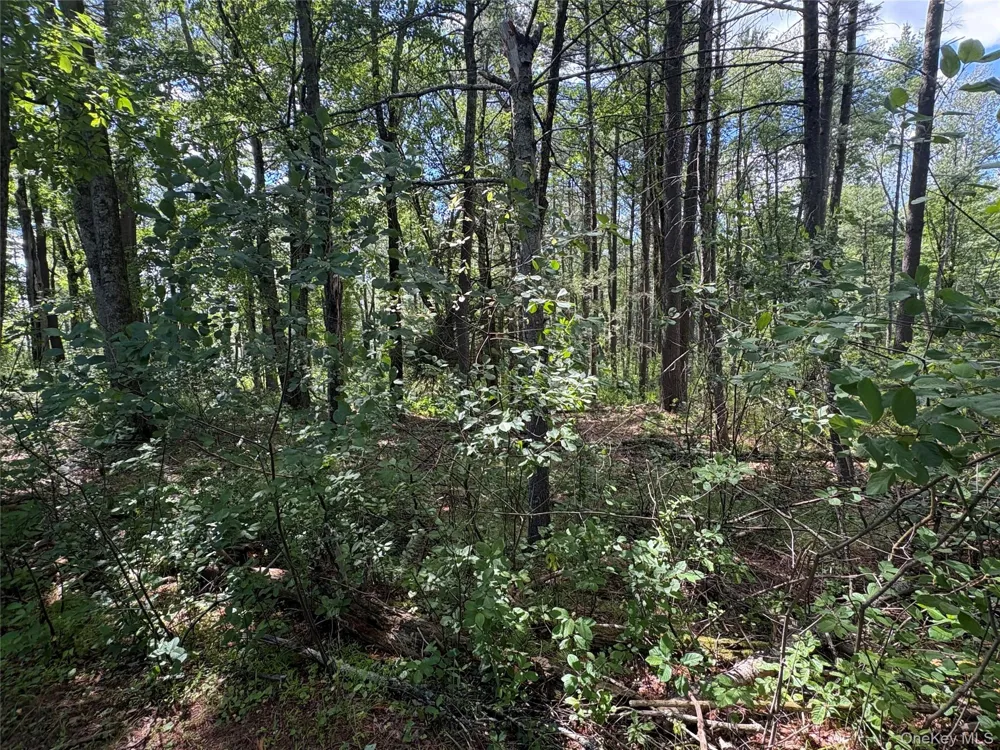 Belair Road Glen Spey, NY 12737