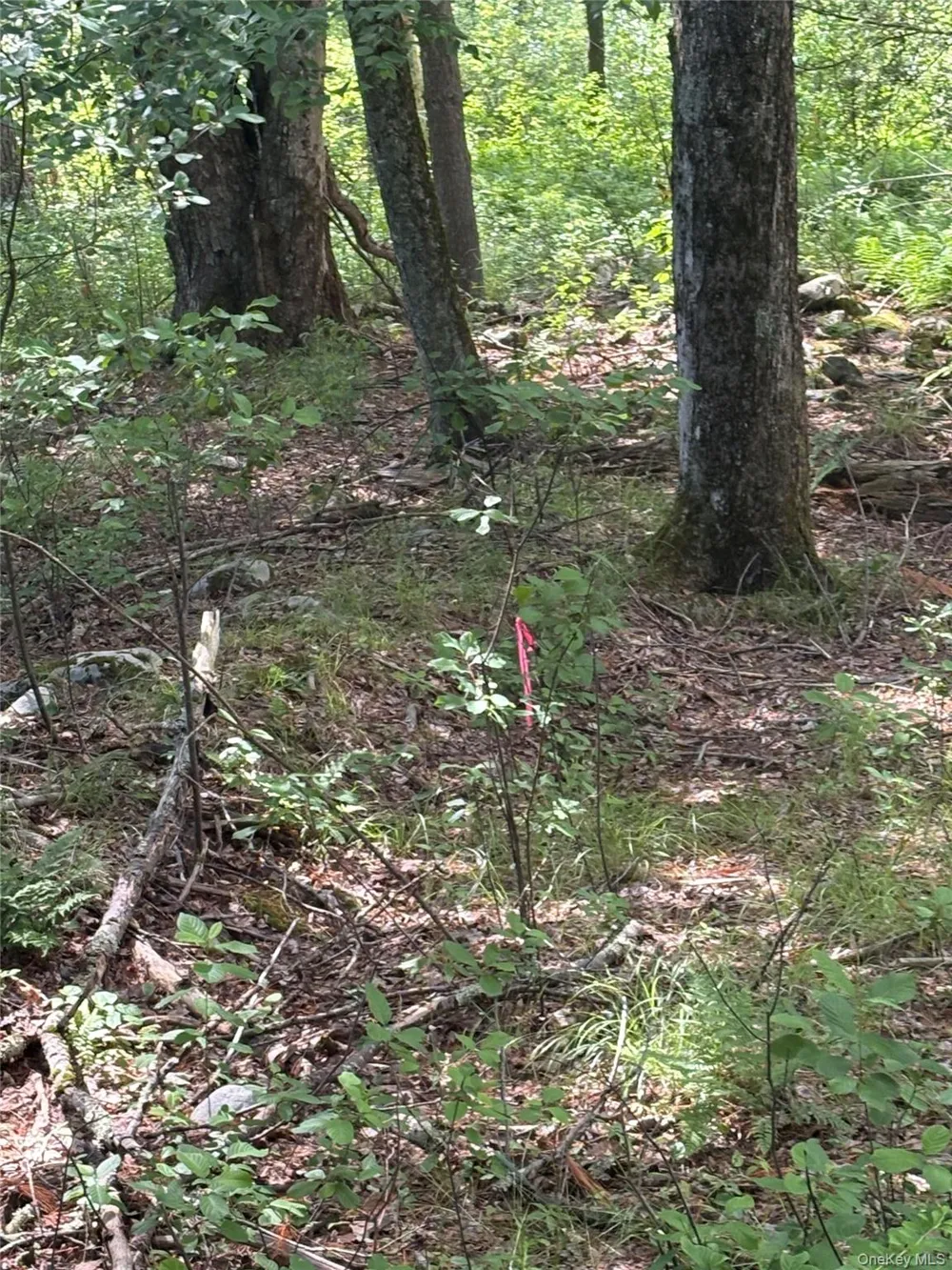 Belair Road Glen Spey, NY 12737