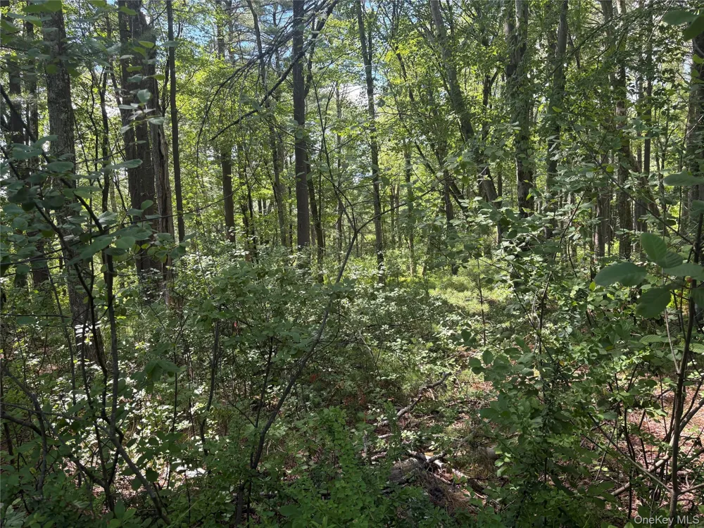 Belair Road Glen Spey, NY 12737
