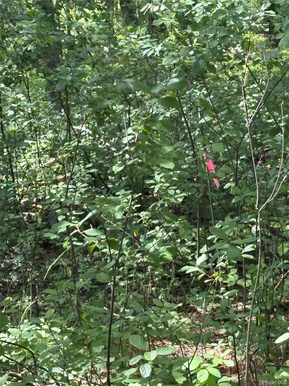 Belair Road Glen Spey, NY 12737