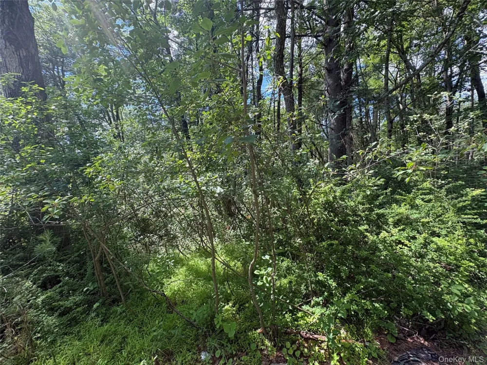 Belair Road Glen Spey, NY 12737