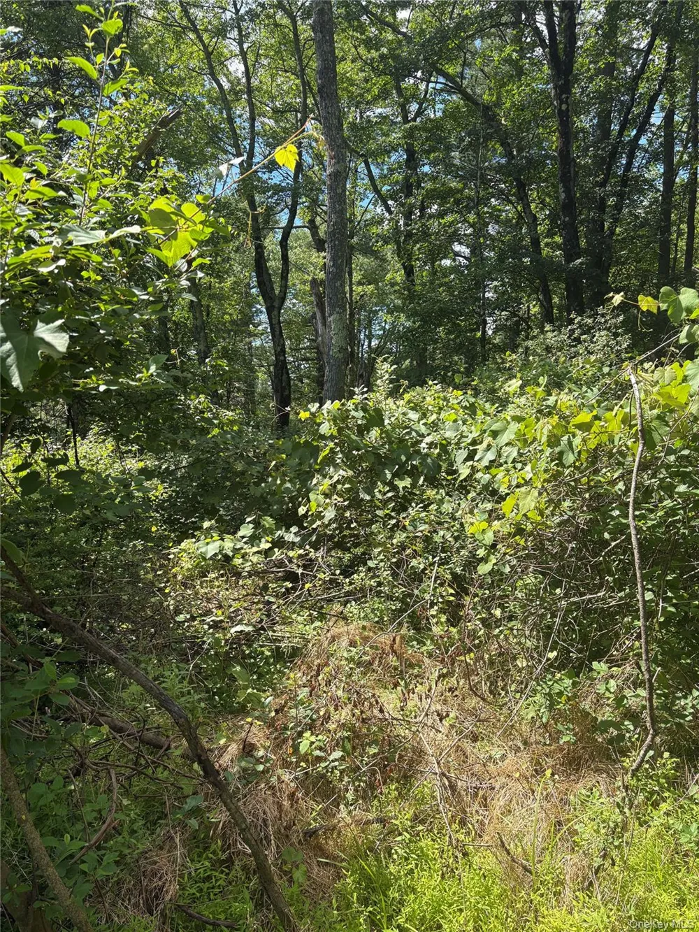 Belair Road Glen Spey, NY 12737