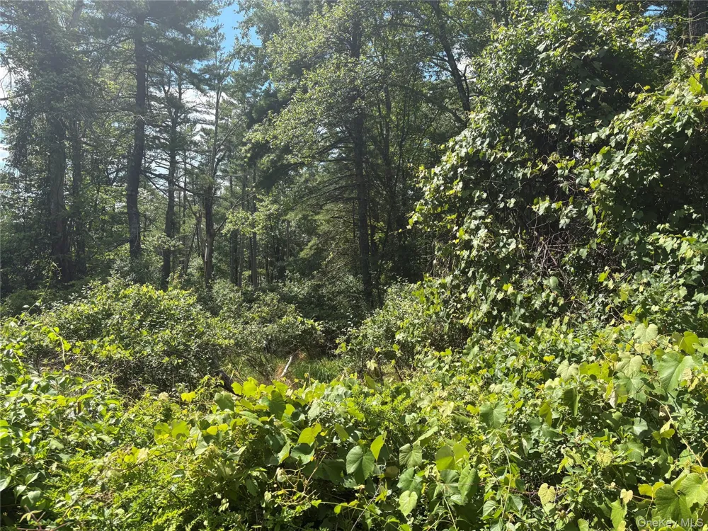 Belair Road Glen Spey, NY 12737