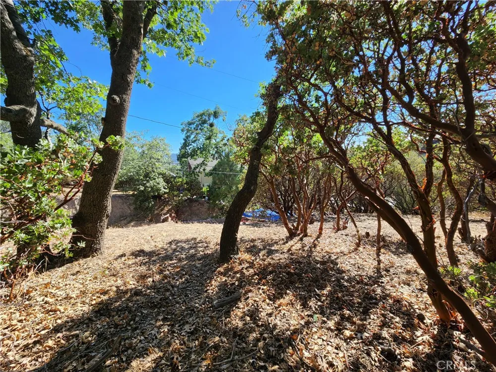 1251 Glacier Drive Lake Arrowhead, CA 92352