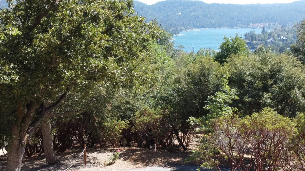 1251 Glacier Drive Lake Arrowhead, CA 92352