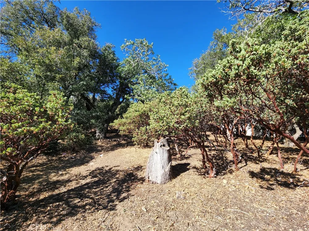 1251 Glacier Drive Lake Arrowhead, CA 92352