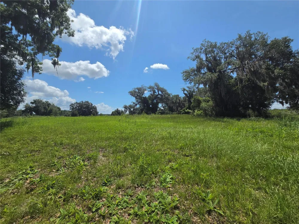 466 LONG AND WINDING ROAD Howey In The Hills, FL 34737