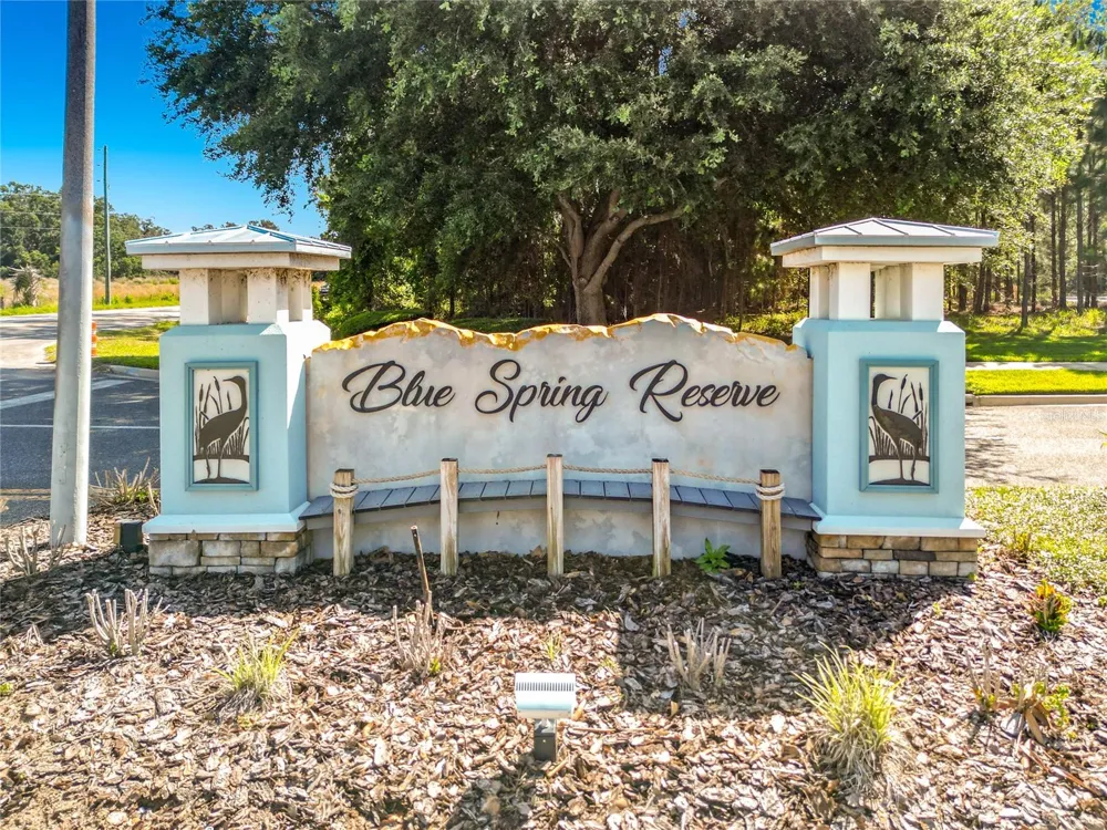 466 LONG AND WINDING ROAD Howey In The Hills, FL 34737