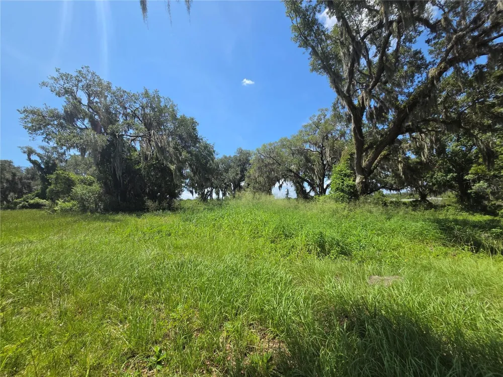 466 LONG AND WINDING ROAD Howey In The Hills, FL 34737