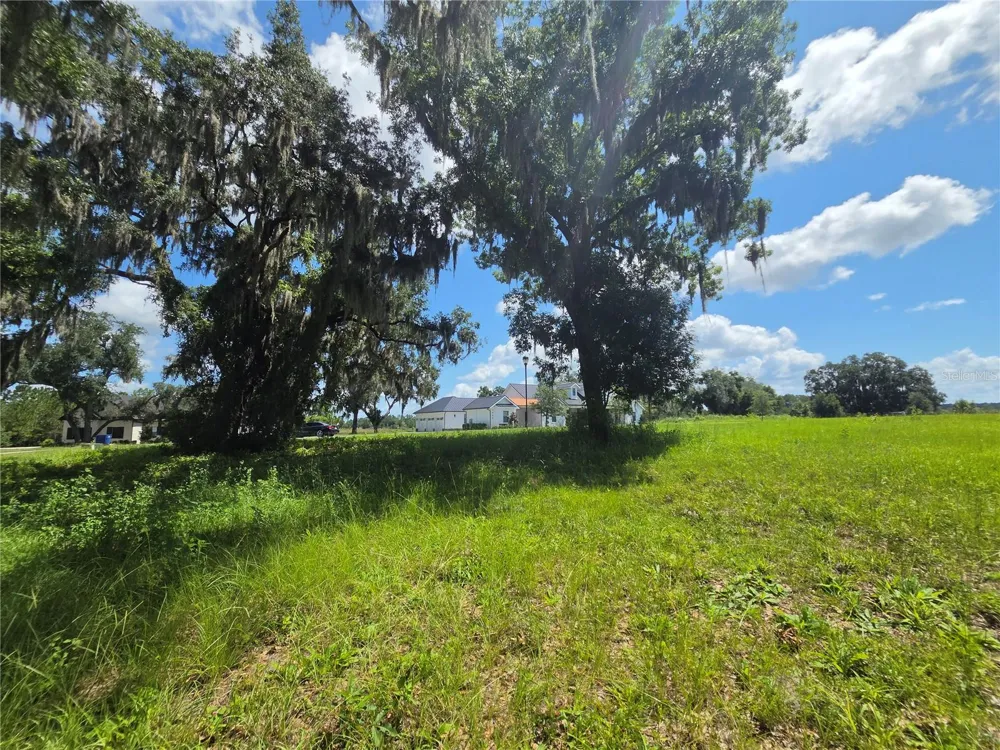 466 LONG AND WINDING ROAD Howey In The Hills, FL 34737