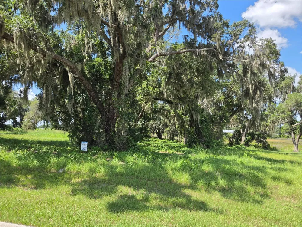 466 LONG AND WINDING ROAD Howey In The Hills, FL 34737