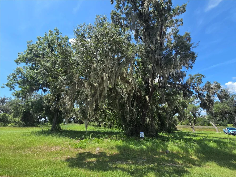 466 LONG AND WINDING ROAD Howey In The Hills, FL 34737