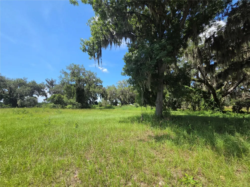 466 LONG AND WINDING ROAD Howey In The Hills, FL 34737