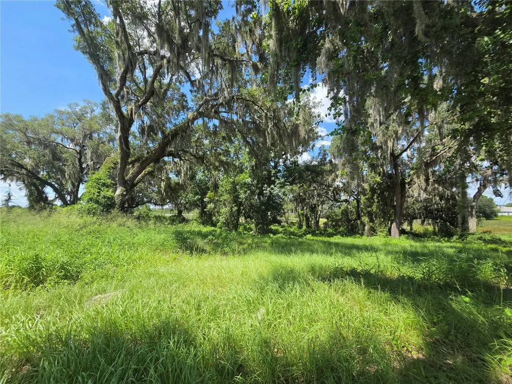 466 LONG AND WINDING ROAD Howey In The Hills, FL 34737