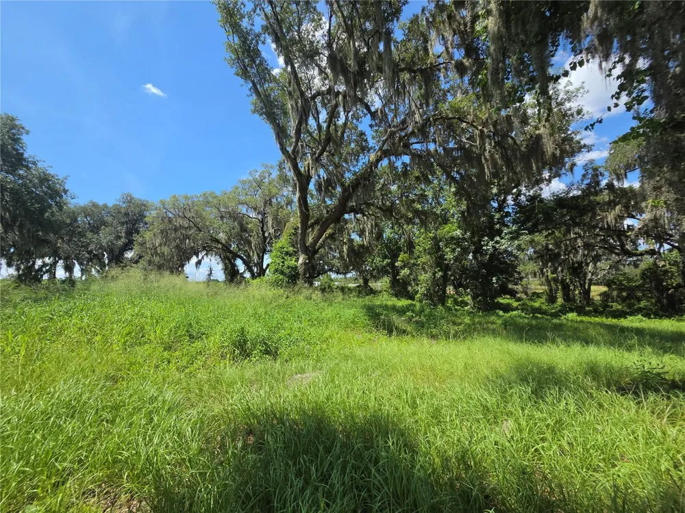 466 LONG AND WINDING ROAD Howey In The Hills, FL 34737