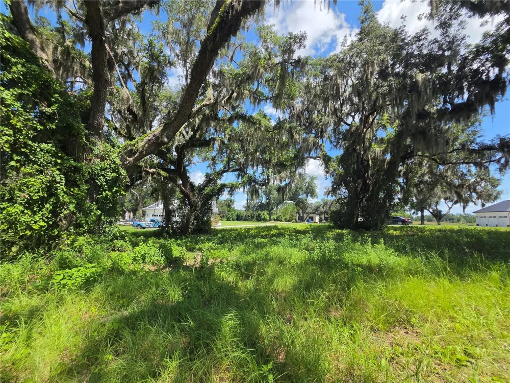 466 LONG AND WINDING ROAD Howey In The Hills, FL 34737