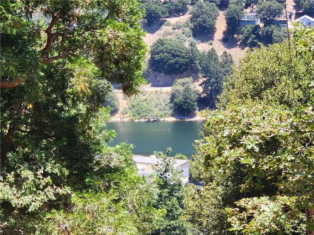 315 Weisshorn Drive Crestline, CA 92325