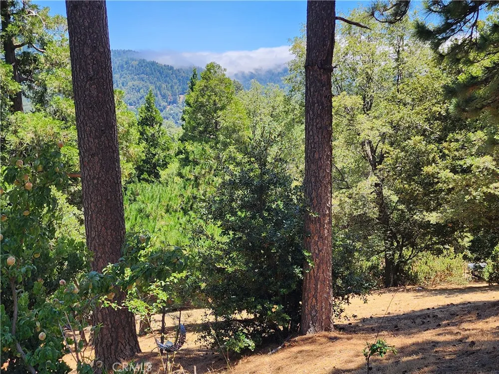 315 Weisshorn Drive Crestline, CA 92325
