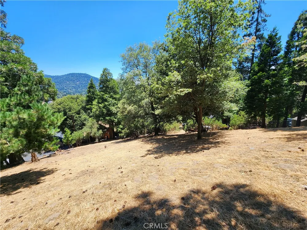 315 Weisshorn Drive Crestline, CA 92325