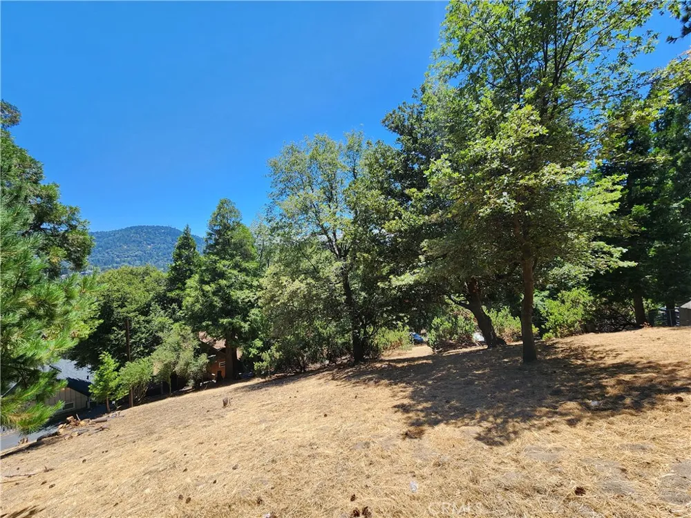 315 Weisshorn Drive Crestline, CA 92325