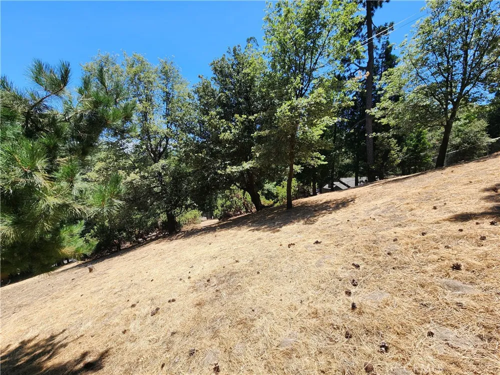 315 Weisshorn Drive Crestline, CA 92325