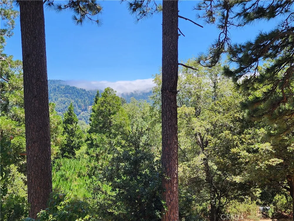 315 Weisshorn Drive Crestline, CA 92325