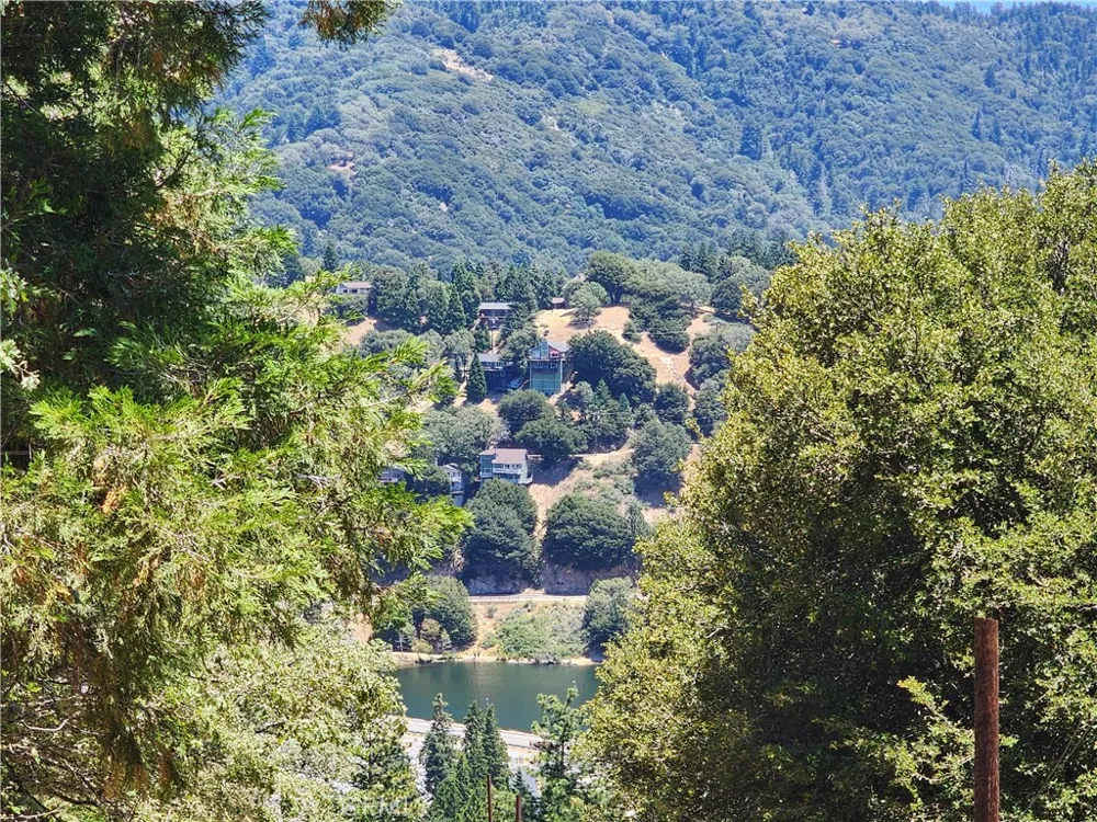 315 Weisshorn Drive Crestline, CA 92325