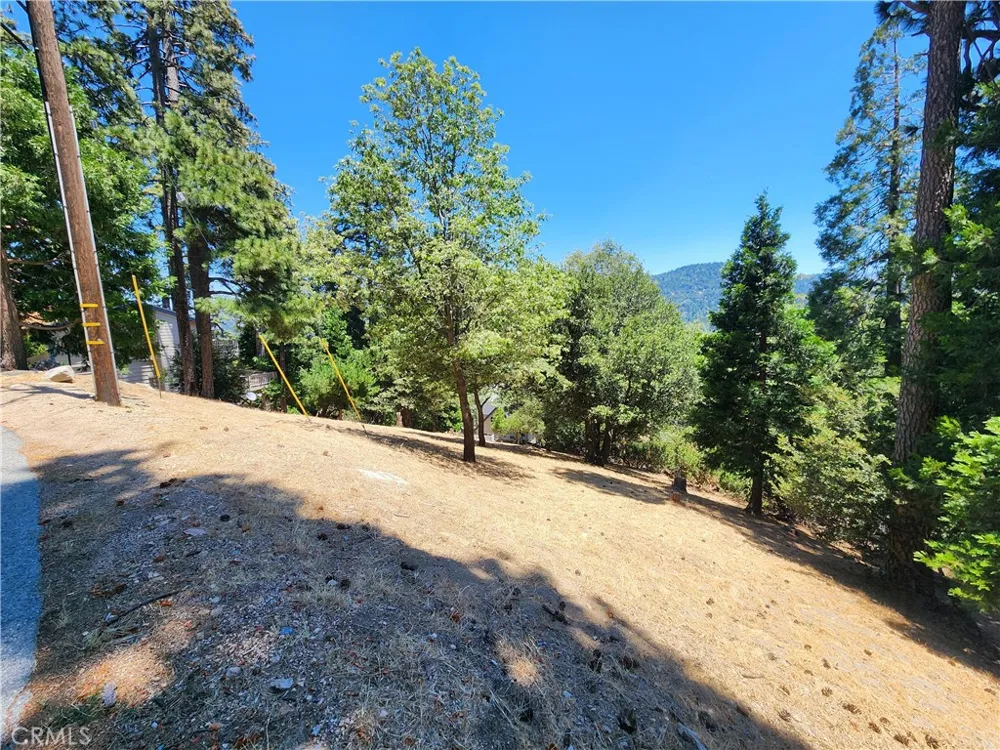 315 Weisshorn Drive Crestline, CA 92325