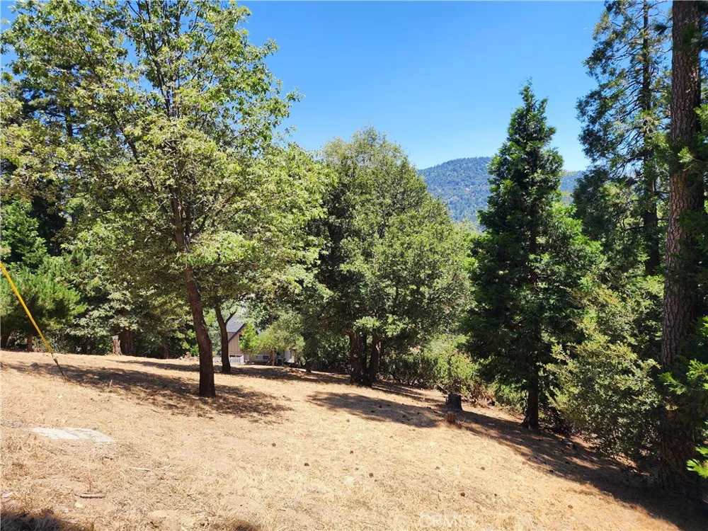 315 Weisshorn Drive Crestline, CA 92325