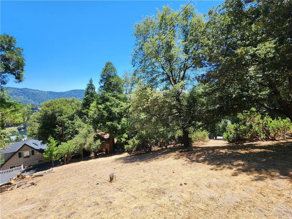 315 Weisshorn Drive Crestline, CA 92325