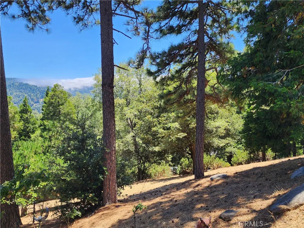 315 Weisshorn Drive Crestline, CA 92325