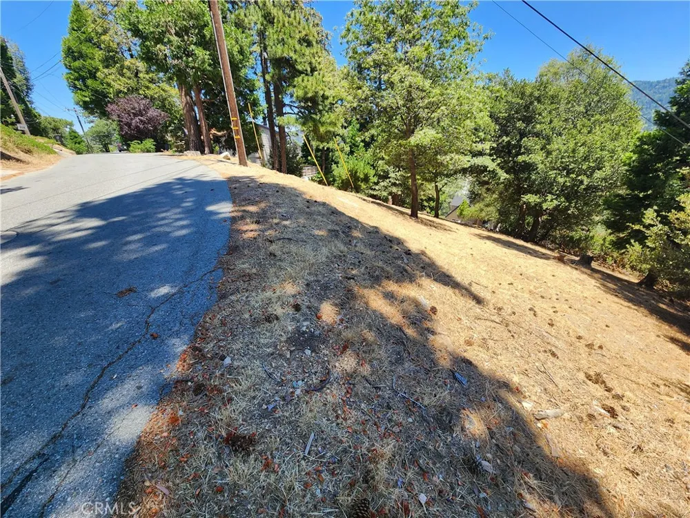 315 Weisshorn Drive Crestline, CA 92325
