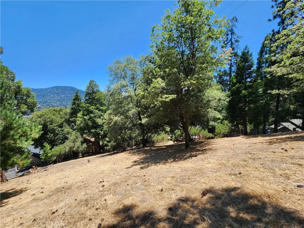 315 Weisshorn Drive Crestline, CA 92325
