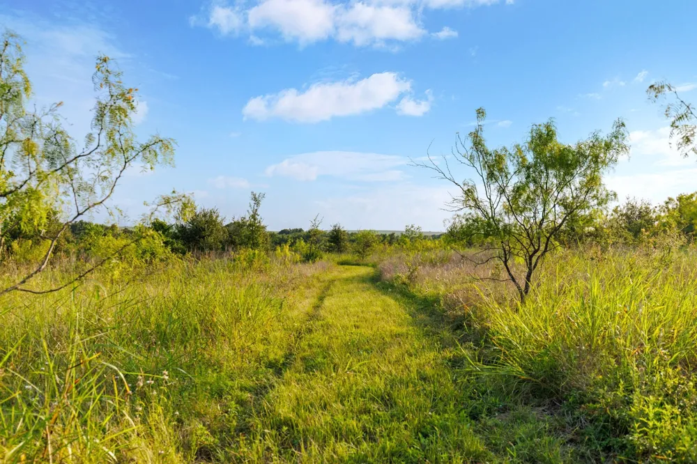 3005 US Highway 77 Lott, TX 76656