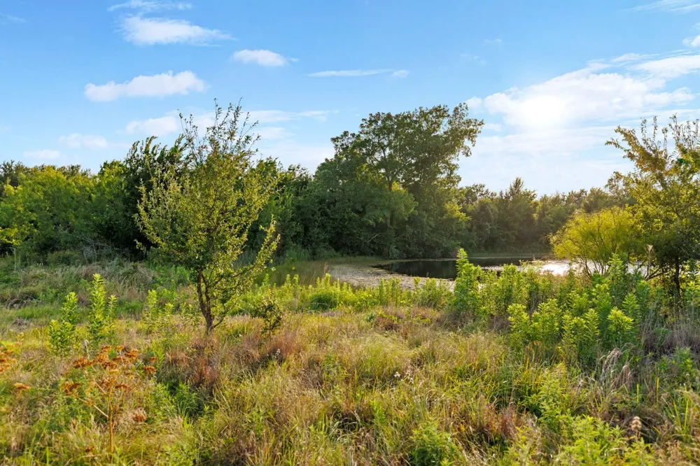 3005 US Highway 77 Lott, TX 76656
