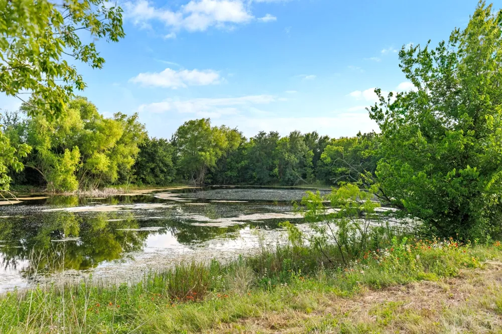 3005 US Highway 77 Lott, TX 76656