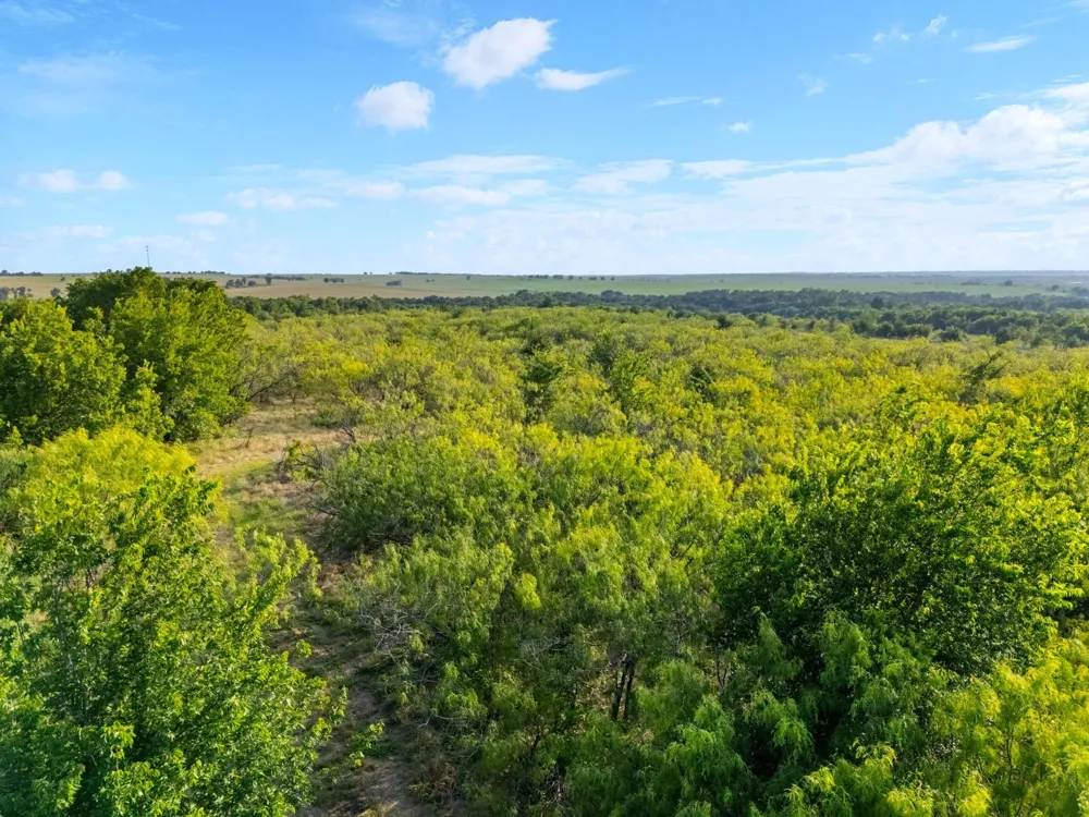 3005 US Highway 77 Lott, TX 76656