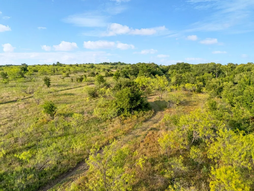3005 US Highway 77 Lott, TX 76656