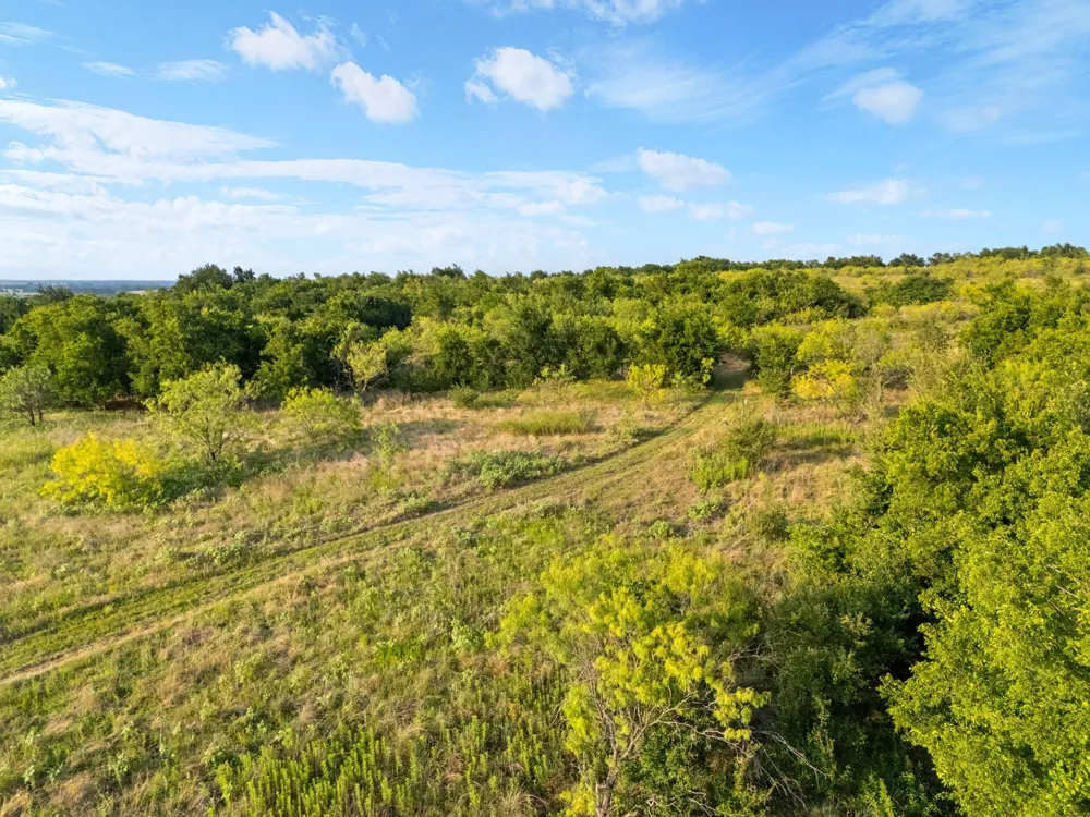 3005 US Highway 77 Lott, TX 76656