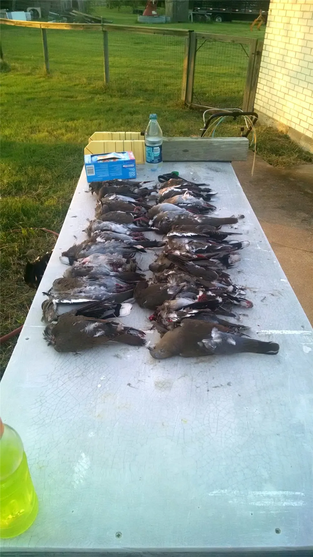 3005 US Highway 77 Lott, TX 76656