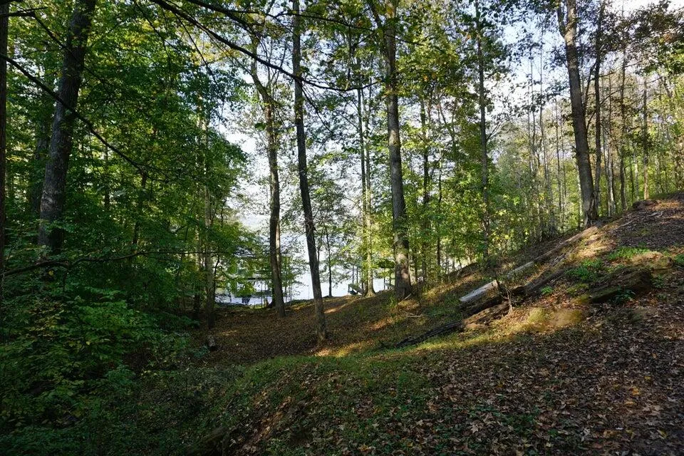 3132 Cherokee Circle Ten Mile, TN 37880