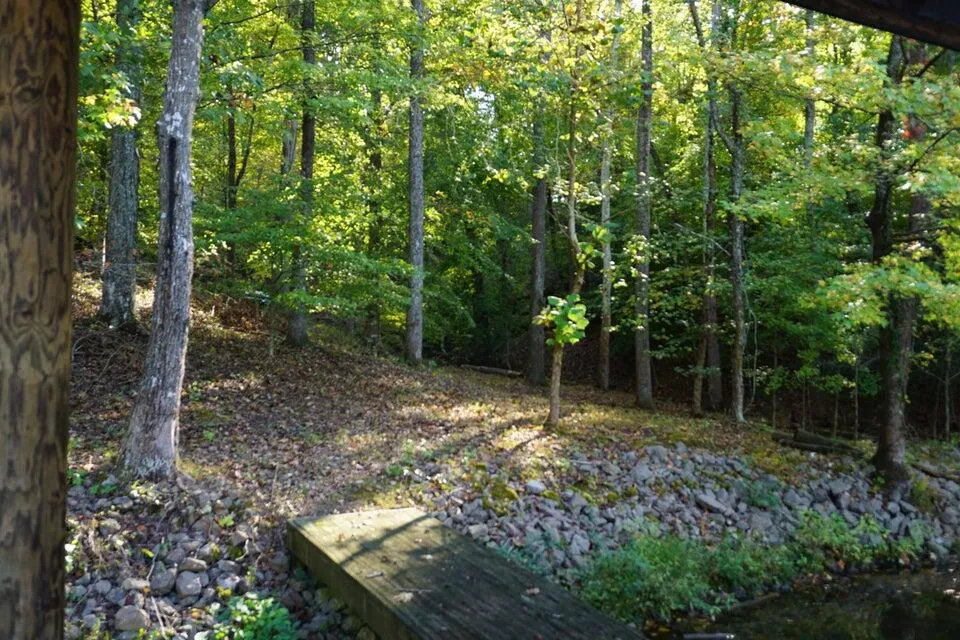 3132 Cherokee Circle Ten Mile, TN 37880