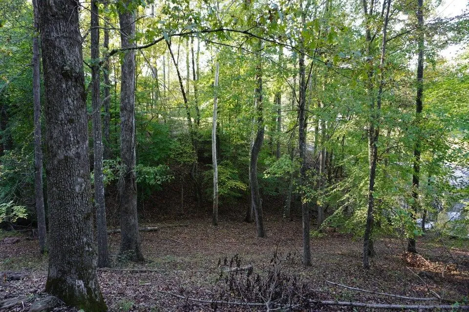3132 Cherokee Circle Ten Mile, TN 37880