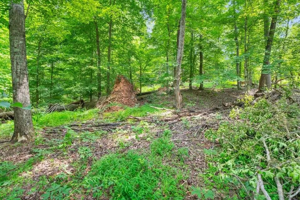 3132 Cherokee Circle Ten Mile, TN 37880