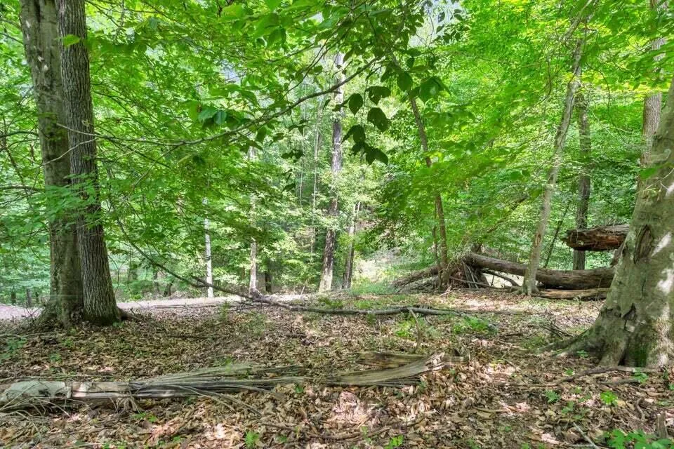 3132 Cherokee Circle Ten Mile, TN 37880