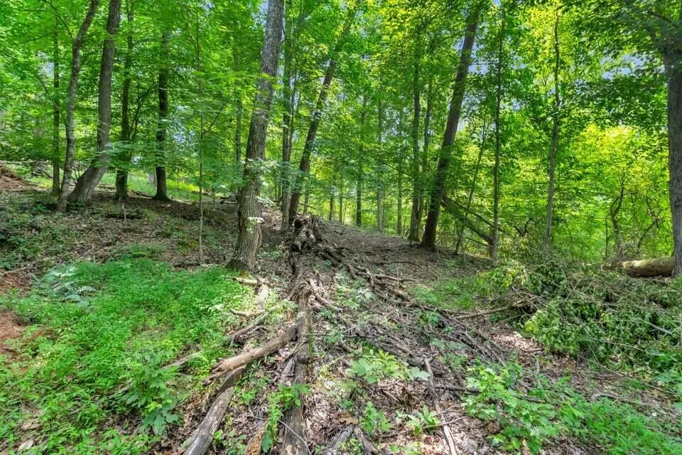 3132 Cherokee Circle Ten Mile, TN 37880
