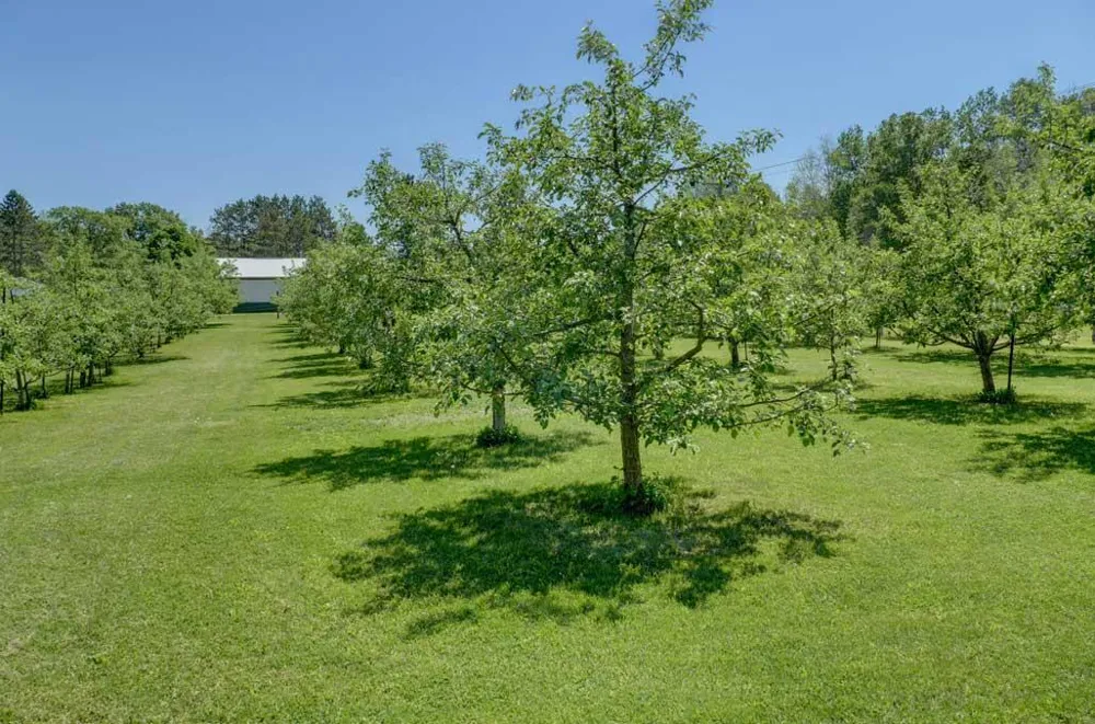 654 115th Street Amery, WI 54001