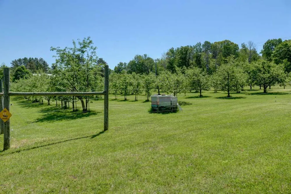 654 115th Street Amery, WI 54001