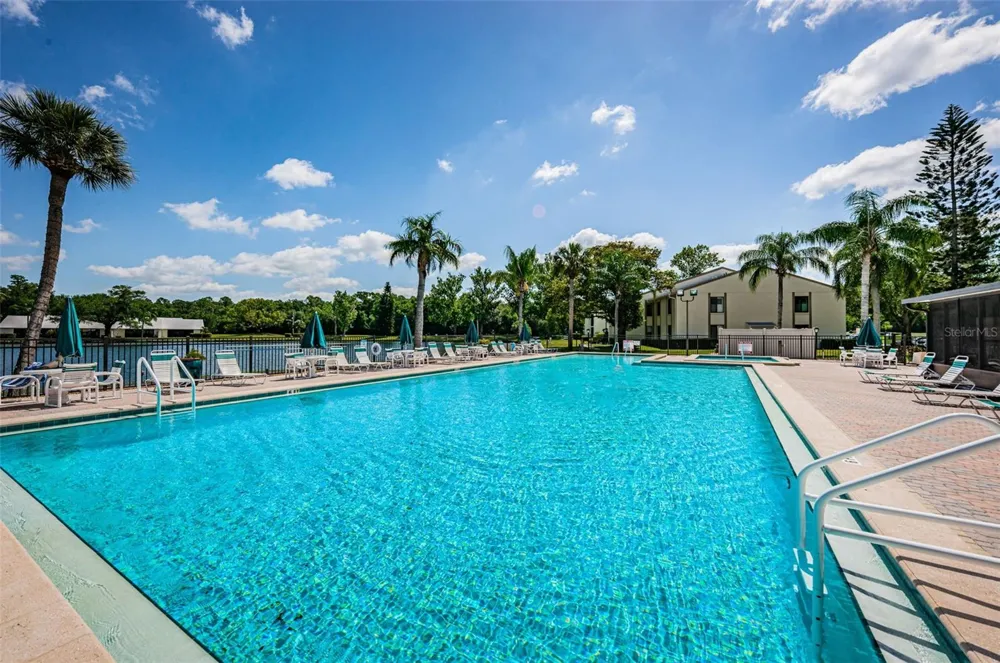 1333 SHADY PINE WAY #F Tarpon Springs, FL 34688