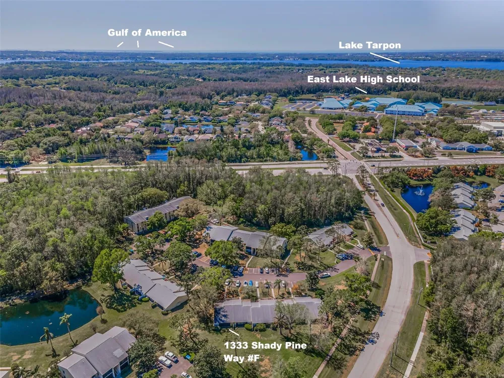 1333 SHADY PINE WAY #F Tarpon Springs, FL 34688